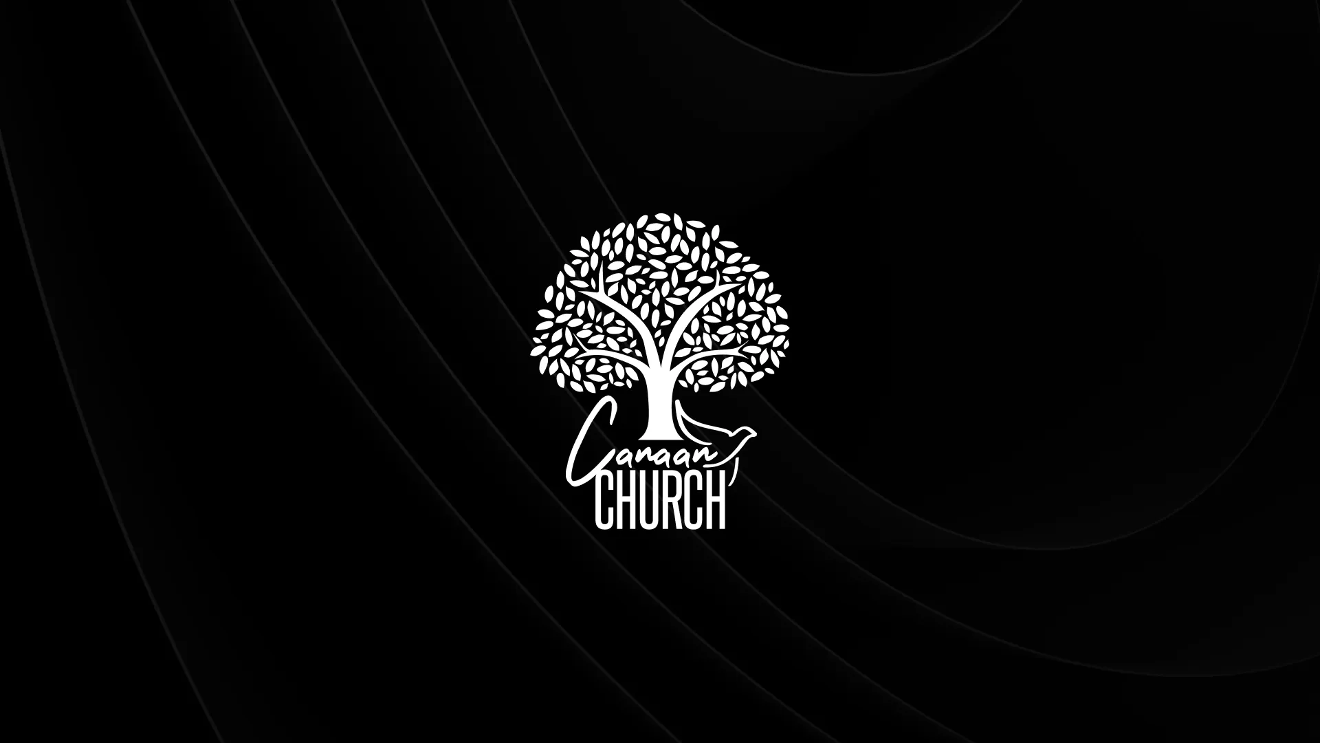 Canaan: Branding y Plataforma